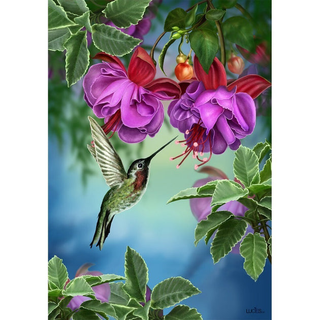 Drapeau Colibri