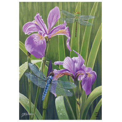 Drapeau libellules avec iris versicolores